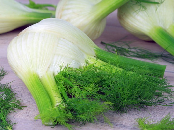 Fennel 'Finocchio'